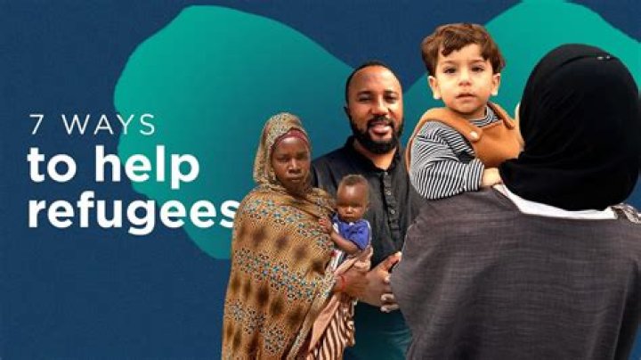 What to study to help refugees?