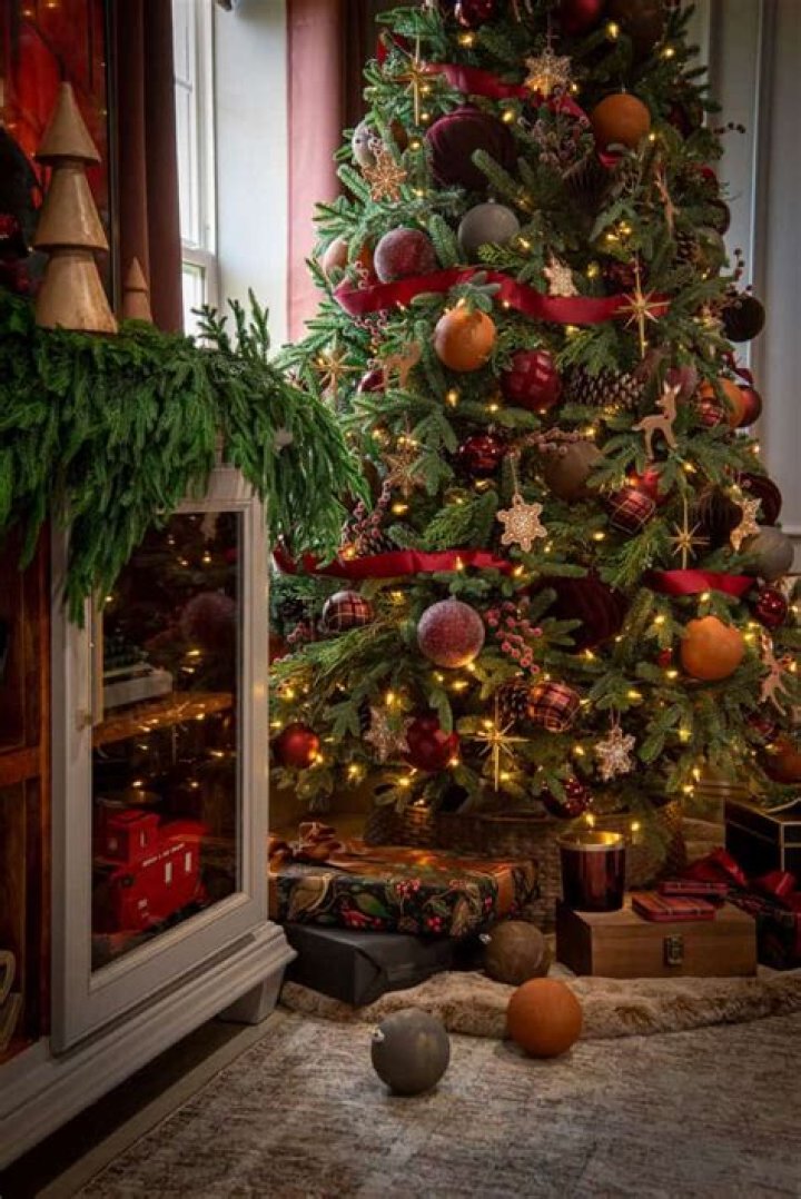 What type of Christmas tree is tall and narrow?