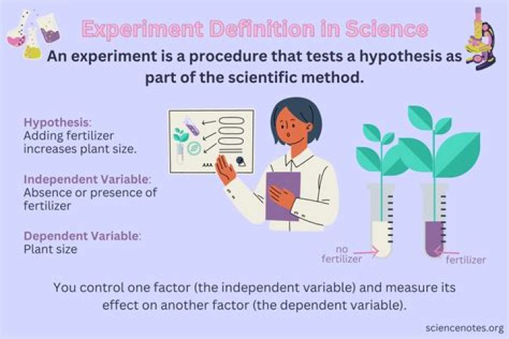 What type of experiment tests one factor at a time?