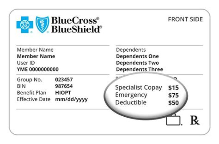 What type of insurance is blue options?
