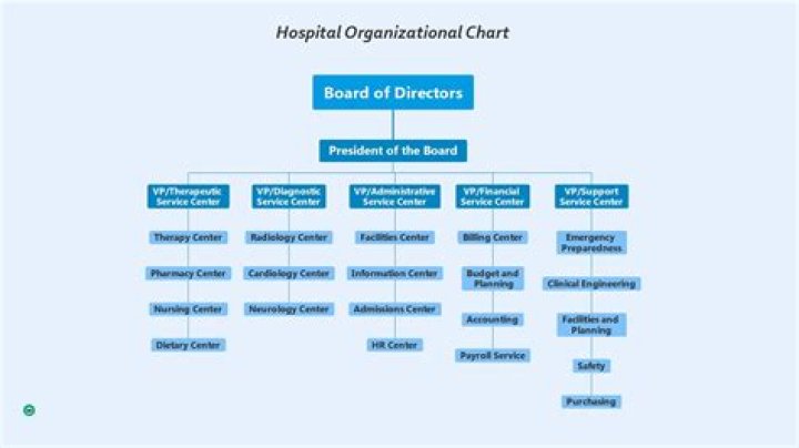 What type of organizational structure does a hospital have