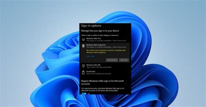 What version of Roxio is compatible with Windows 7?