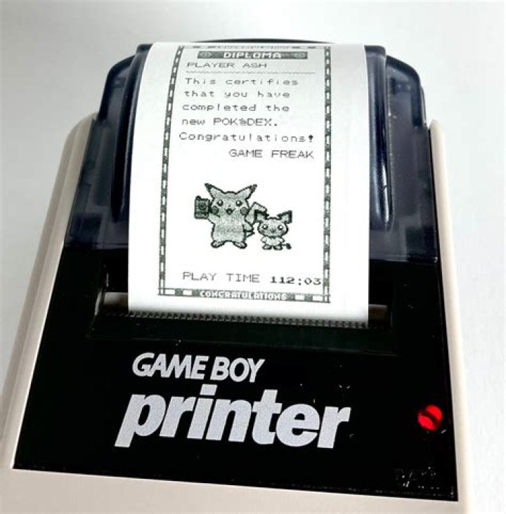 What was the Game Boy Printer used for?