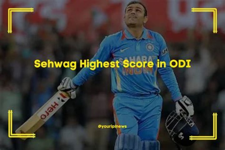 When did Sehwag score 219?