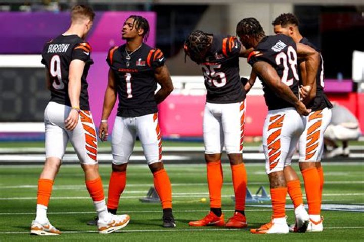 When did the Bengals go 0 16?