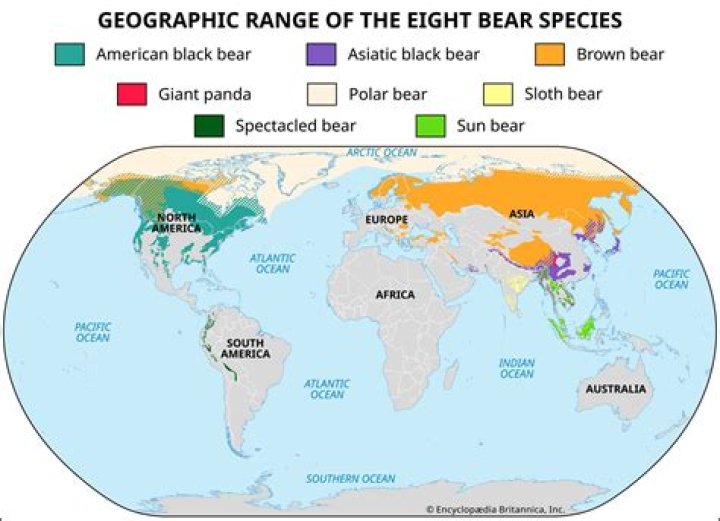 Where are the most bears in California?