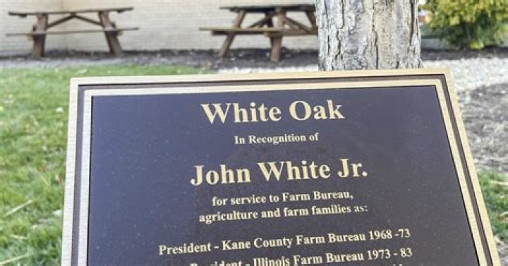 Where is John White Jr now?