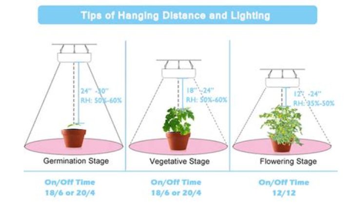 Where should grow lights be positioned?