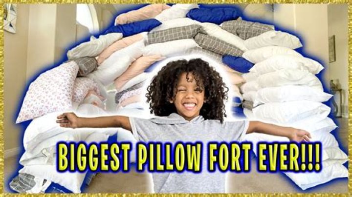 Where was the world's largest pillow fight?