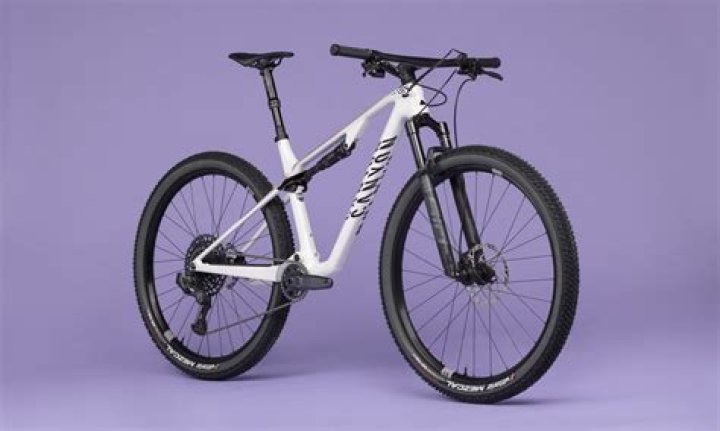 Which bike brands sell direct to consumer?