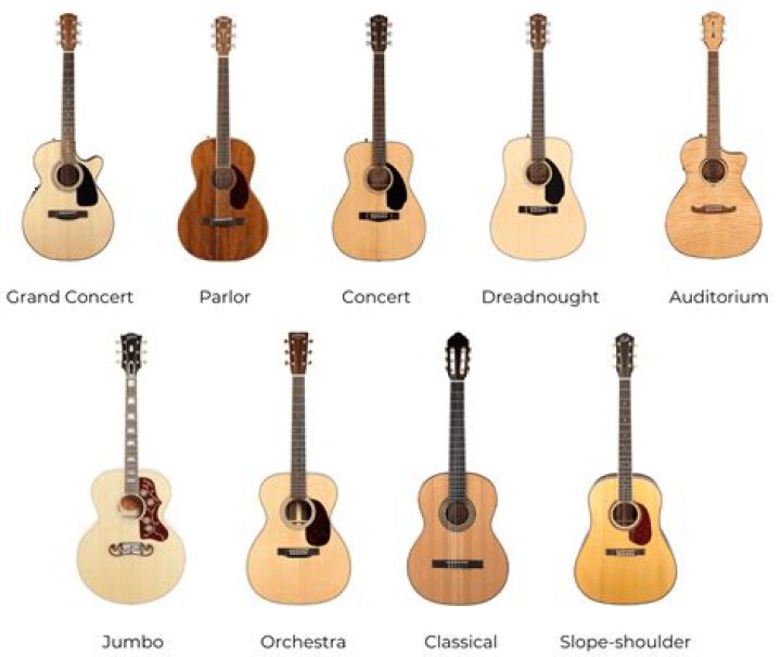 Which company guitar is best in India?