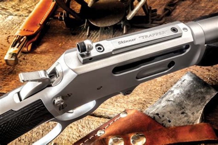 Which is better SBL or reckeweg?