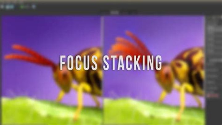 Which is the best focus stacking software?