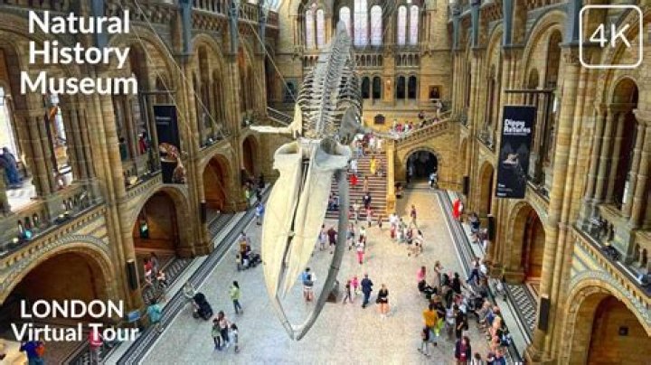 Which museum has the best virtual tour?