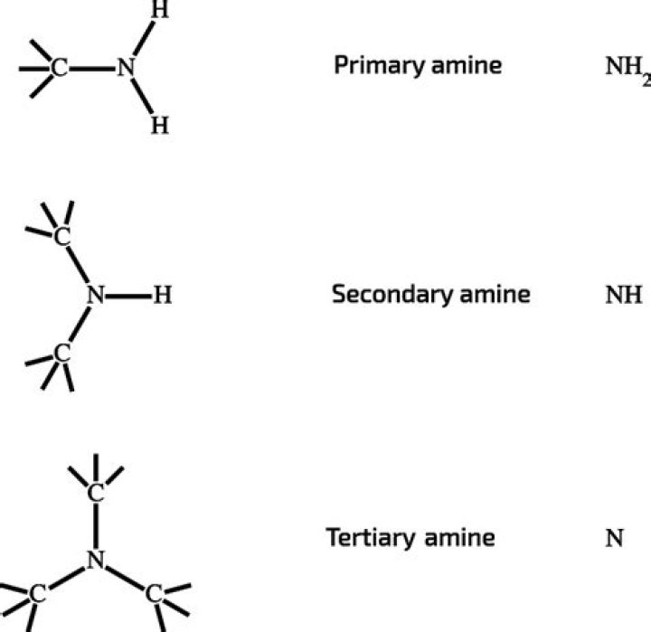 Which nucleotides have amines?