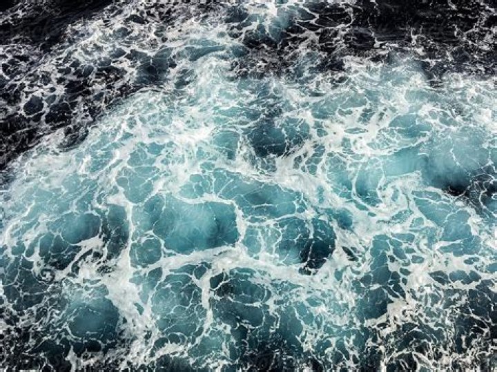 Which plant was brought up during the churning of milk ocean?