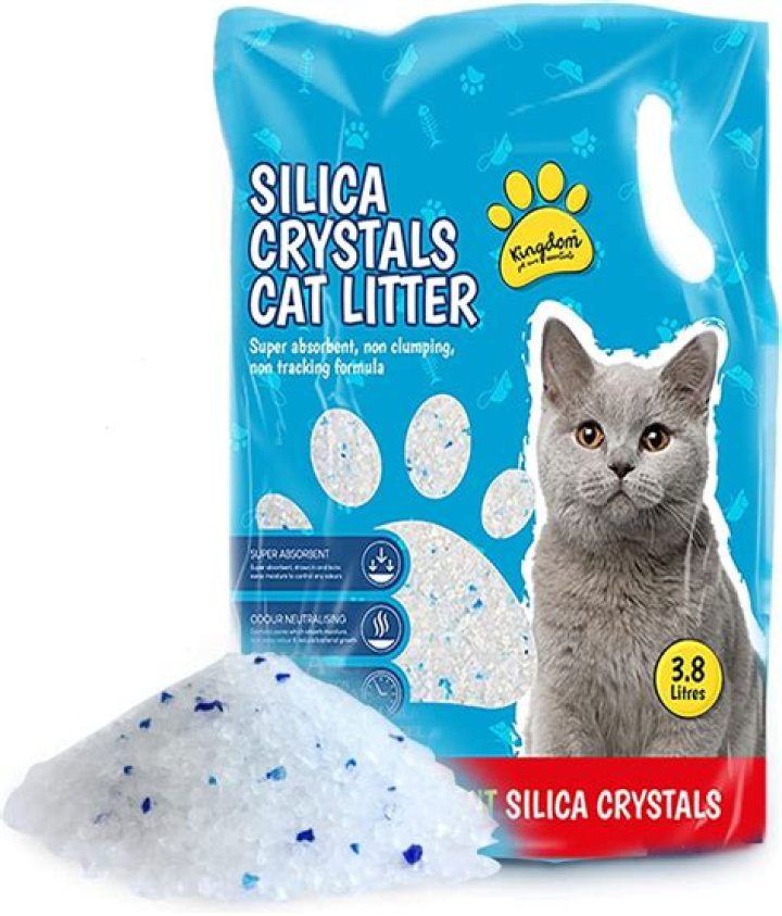 Which Silica Cat Litter is best?