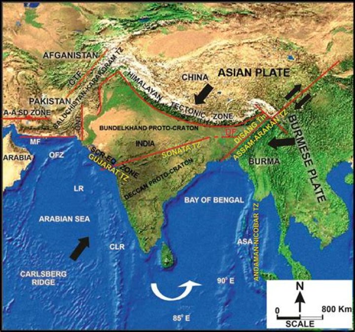 Which tectonic plate is India located?