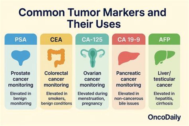 Which tumor marker is raised in hepatoma?