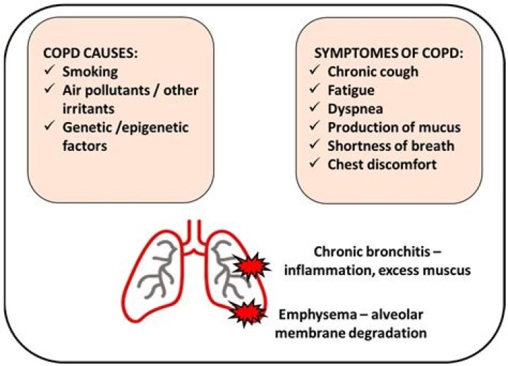 Who COPD death?