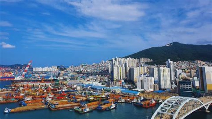 Who is the biggest fandom in South Korea?