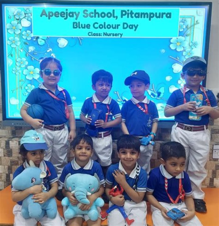 Who is the principal of Apeejay School Pitampura?