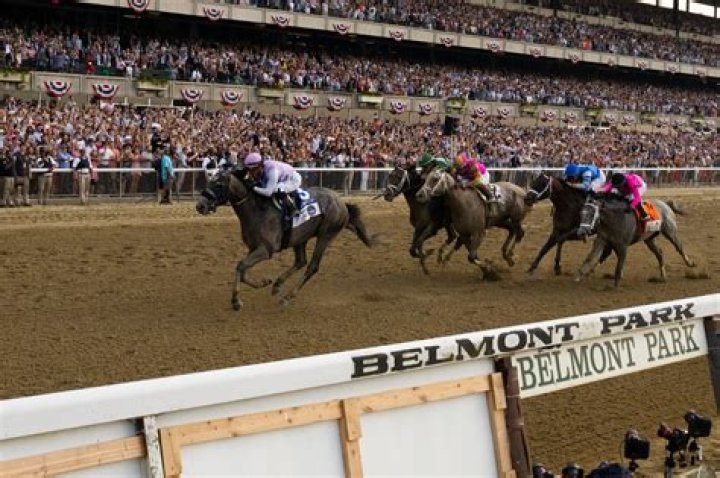 Who won the Belmont in 2015?
