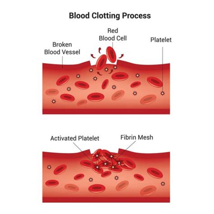 Why are platelets called thrombocytes?