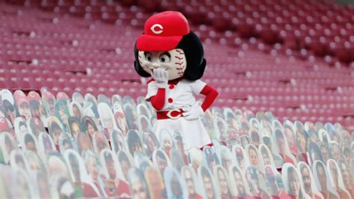 Why are they called the Cincinnati Reds?