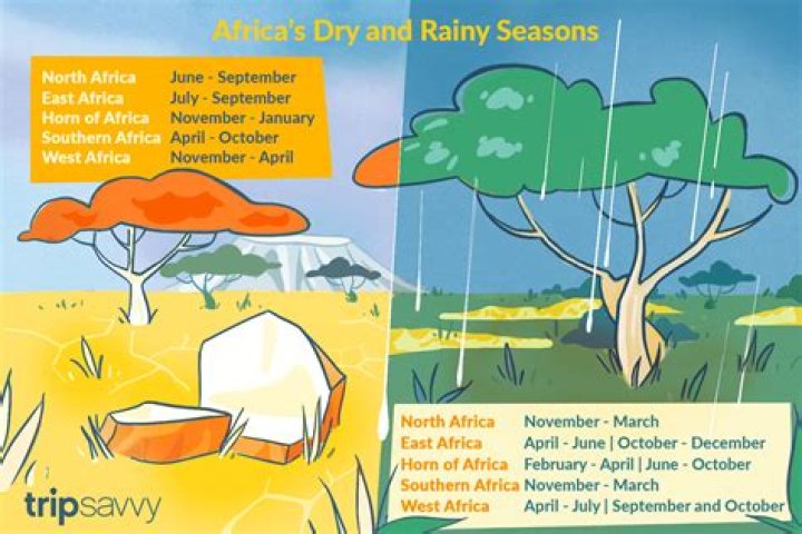 Why do the tropics have rainy and dry seasons