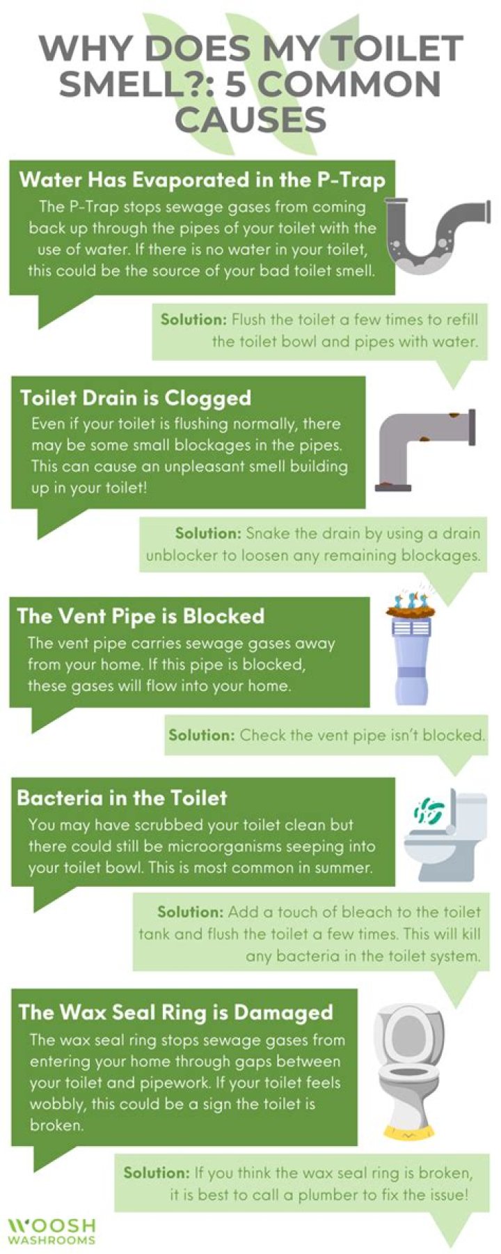 Why does my sump smell like sewage