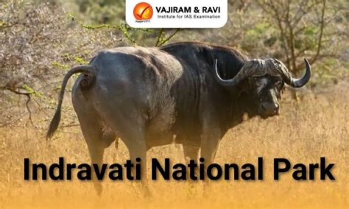 Why is indravati national park famous?