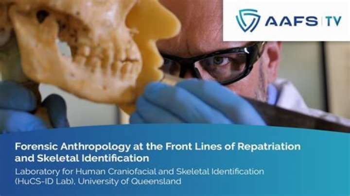 Why is the pelvis often the first bone forensic