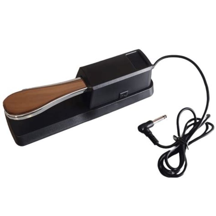 Will Yamaha sustain pedal works Roland?