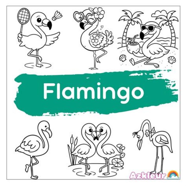 Win32/Filecoder.Flamingo.C